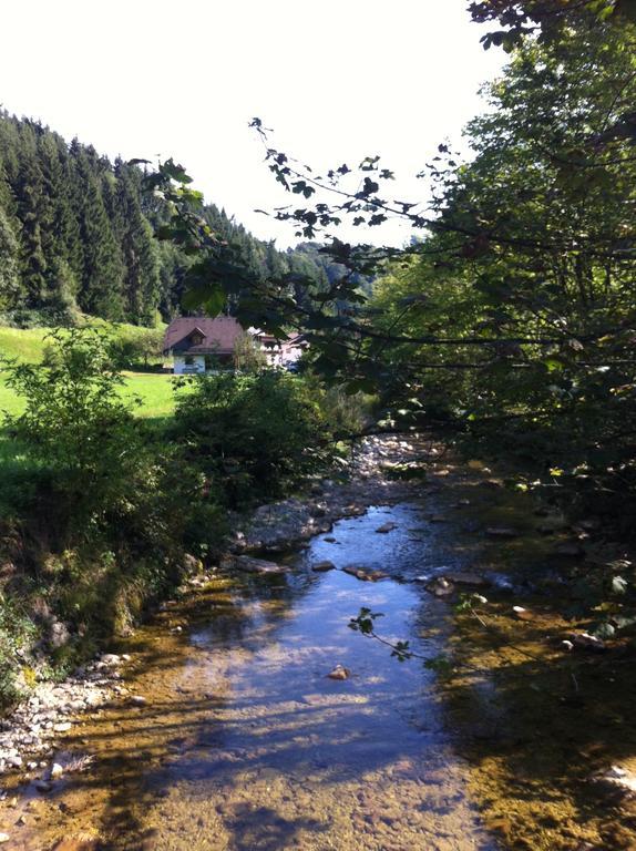Landhaus Haselmoar Altmünster Dış mekan fotoğraf