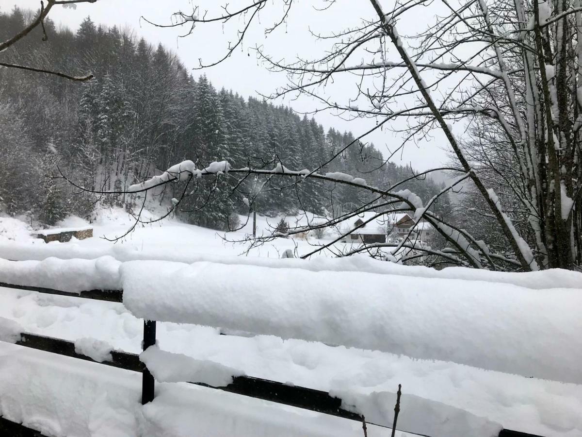 Landhaus Haselmoar Altmünster Dış mekan fotoğraf